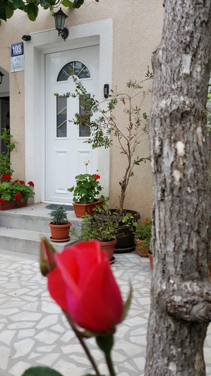 Hibiscus Guest House 부드바 외부 사진